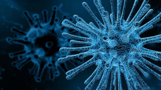 A apărut primul caz de febră tifoidă din 2024, în România. Boala mortală poate fi prevenită cu vaccin