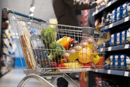Veste bună înainte de sărbători. Mii de produse alimentare vor avea adaosul plafonat. Care este lista guvernului