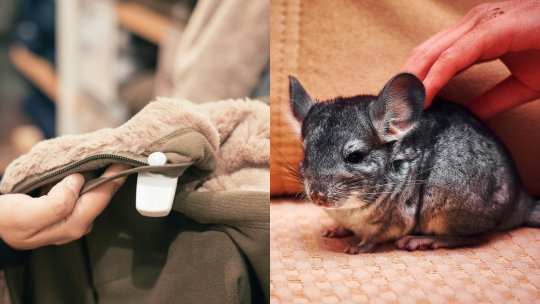 Fermele de blănuri vor fi interzise în România. Proiectul de lege votat, după aproape doi ani de când a fost propus