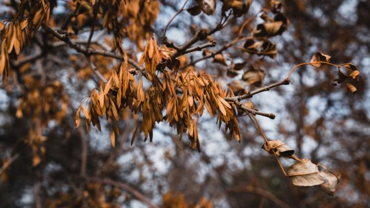 Frigul ajunge și în România! Luna noiembrie vine cu temperaturi sub medie