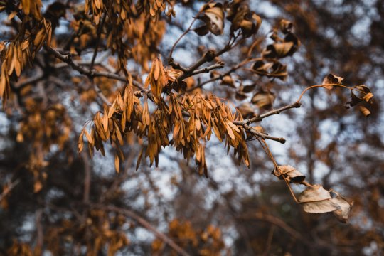 Frigul ajunge și în România! Luna noiembrie vine cu temperaturi sub medie