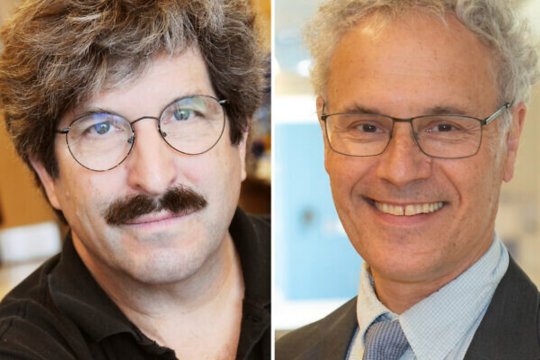 Victor Ambros și Gary Ruvkun sunt câștigătorii Premiului Nobel 2024 pentru Medicină. Descoperirea lor ar putea revoluționa genetica umană