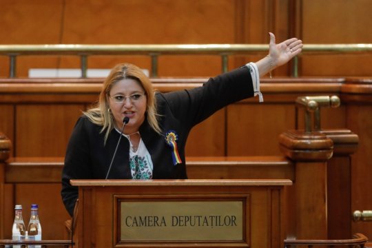 Motivarea deciziei CCR în cazul Dianei Șoșoacă prin care candidatura i-a fost interzisă. ”Luările de poziție oficiale amenință ordinea constituțională”