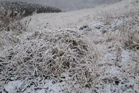ANM a emis cod galben de ninsori în 7 județe. Ce zone vor fi afectate