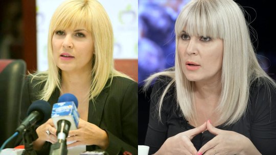 Elena Udrea va afla decizia ÎCCJ. I se va schimba sau nu pedeapsa în Dosarul Gala Bute