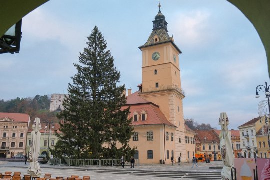 La ce târg se găsește cel mai înalt brad de Crăciun din România. Atracția principală pentru turiști și localnici