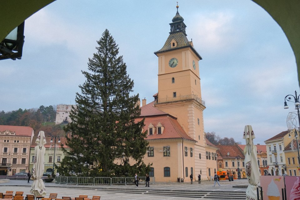 Brașovul va avea cel mai înalt Brad de Crăciun