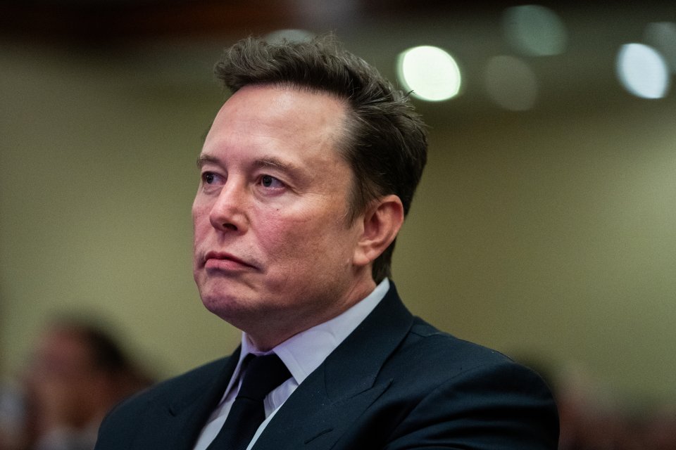 Elon Musk este fondatorul, directorul general și proiectantul principal al SpaceX, dar și co-fondator, director executiv și arhitect de produs al Tesla