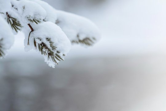 ANM a făcut anunțul! Iarna își va intra în drepturi și în România. S-a emis deja un cod galben pentru zilele viitoare