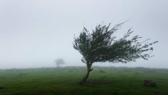 România este sub cod roșu și portocaliu! ANM a anunțat vreme extremă în mai multe județe din țară