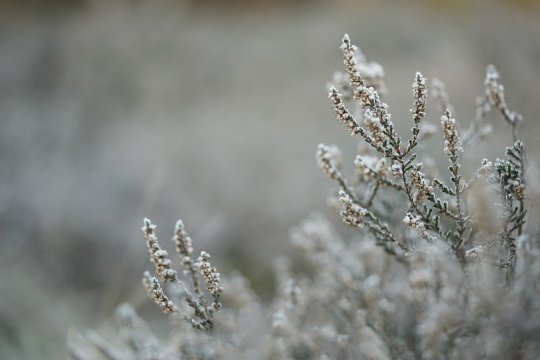 România lovită de ger. -10,2 grade Celsius înregistrate în această dimineață la Miercurea Ciuc