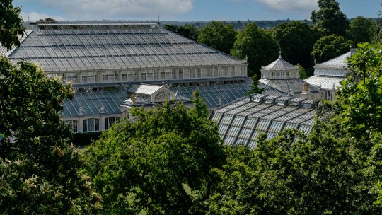 Ce poţi vedea la Grădina Botanică din Bucureşti? Program şi tarife de vizitare