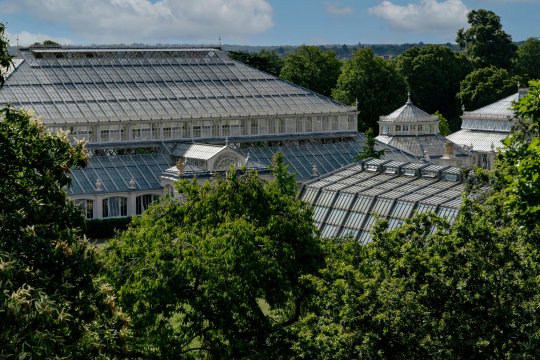 Ce poţi vedea la Grădina Botanică din Bucureşti? Program şi tarife de vizitare