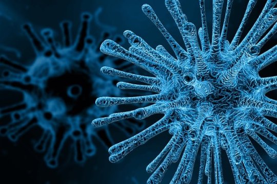 A apărut primul caz de febră tifoidă din 2024, în România. Boala mortală poate fi prevenită cu vaccin