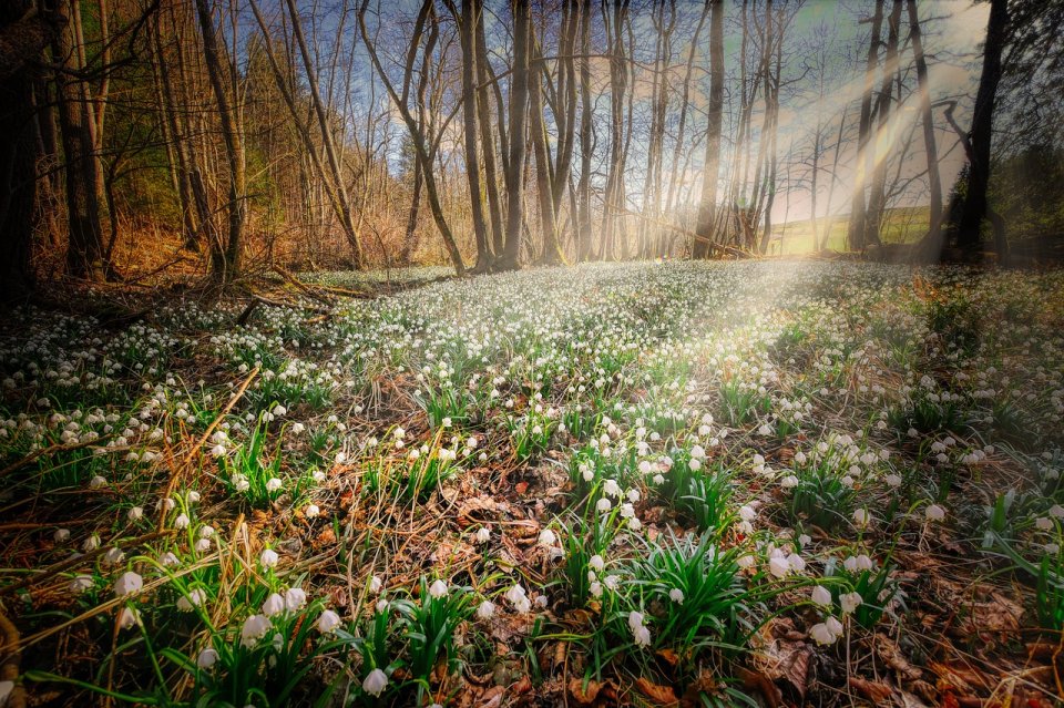 Ce traditii si superstitii se tin pe 9 martie