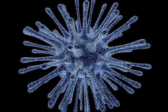 Focar de infecţie cu Norovirus, în România. Cum se transmite, simptome şi tratament