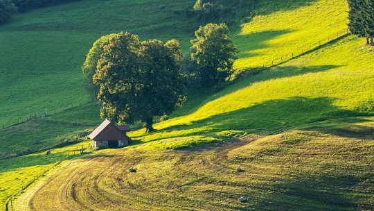 Nou stimulent financiar pentru români, din partea Guvernului! Ce trebuie să facă fermierii pentru a primi 500 de lei