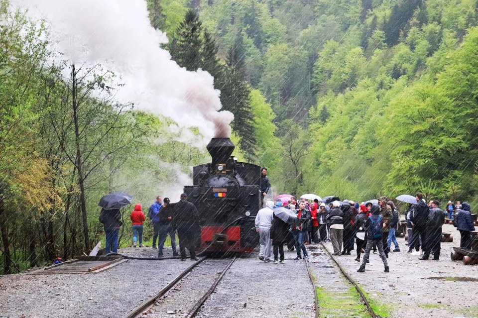 Mocăniţa din Maramureş