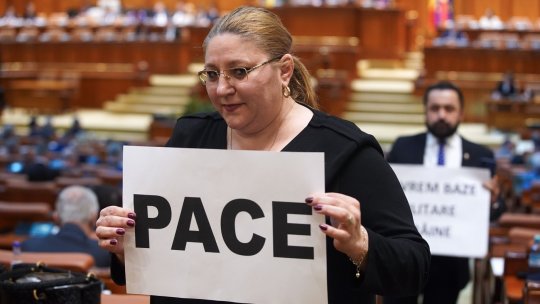 Rezultate alegeri europarlamentare. Diana Şoşoacă a obţinut mandatul. Lista completă