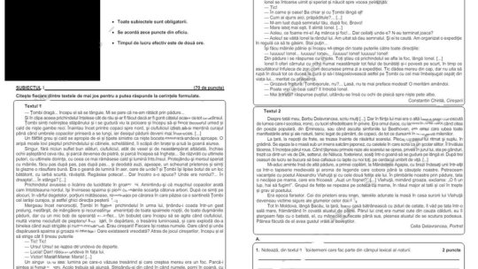 Subiectele de la Limba română, la Evaluarea Naţională 2024. Ce trebuiau să facă elevii pentru nota 10