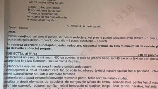 Ce subiecte s-au dat la BAC la Limba română, în 2024, la profilele real şi uman