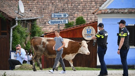 Cum să ajungi la Viscri, localitatea unde şi Regele Charles are o casă. Ce obiective turistice poţi vizita