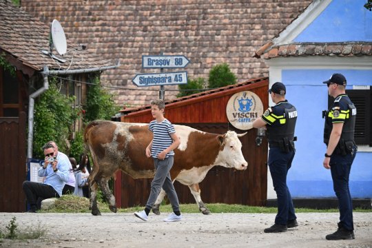 Cum să ajungi la Viscri, localitatea unde şi Regele Charles are o casă. Ce obiective turistice poţi vizita
