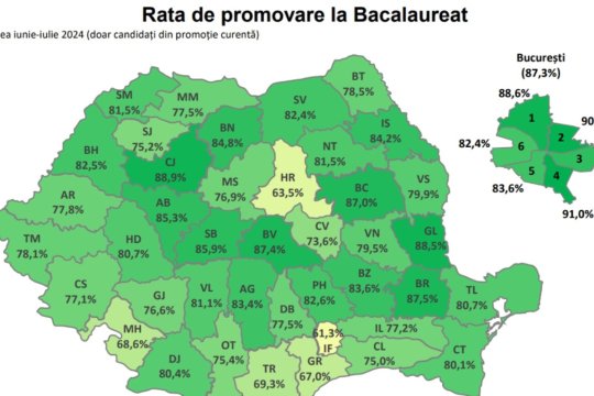 Model cerere contestaţie BAC 2024. Cum să depui online pentru a-ţi recorecta lucrarea de la examenul de Bacalaureat