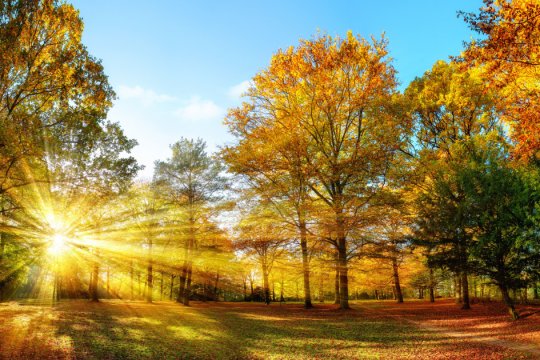 Cum va fi vremea în România de Sfânta Maria Mică. Ce temperaturi se înregistrează în toată luna septembrie 2024
