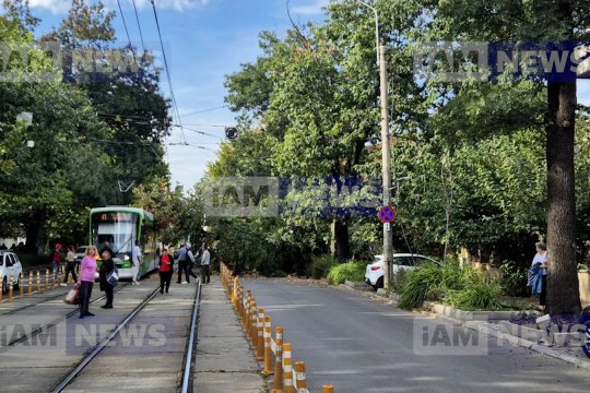 Un copac uriaș s-a prăbusit peste un tramvai în centrul Bucureștiului. Circulația e blocată. Imagini de la fața locului
