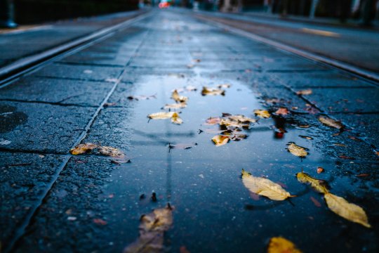 Temperaturile scad drastic. ANM a venit cu prognoza pentru intervalul 23 septembrie - 6 octombrie