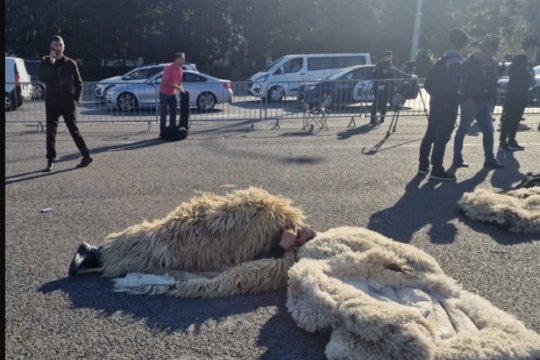 Ciobanii care au protestat în fața Guvernului au dormit noaptea în Piața Victoriei, întinși pe cojoace