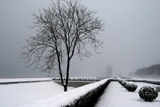 Vine iarna la București. Când vor cădea primii fulgi de zăpadă în Capitală
