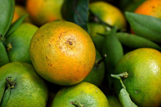 Remediul pentru insomnii: fructul pe care l-ai consumat și tu
