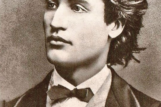 Ce mânca Mihai Eminescu? Marele poet nu refuza niciodată țuica și vinul