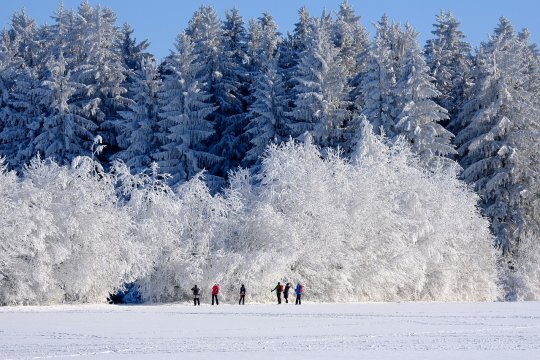 Cum să te încălzești iarna, dacă ai rămas fără căldură în casă