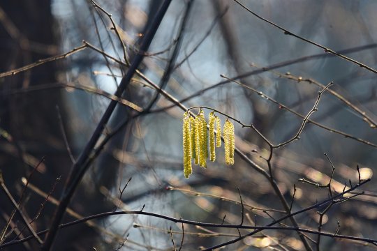 Februarie, luna superstițiilor! Ce tradiții importante se țin în această perioadă