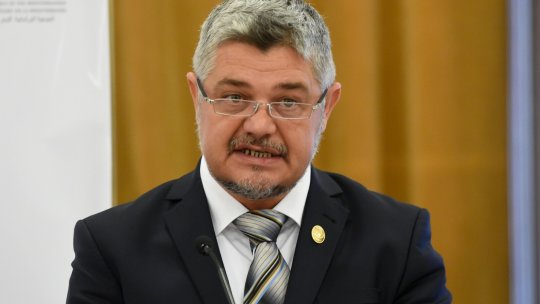 Derapaj revoltător în Parlament: Ninel Peia jignește o senatoare USR cu o remarcă despre autism