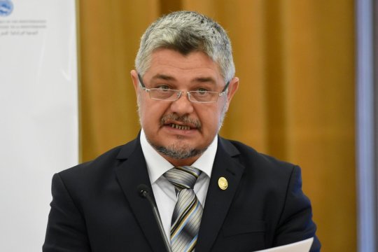 Derapaj revoltător în Parlament: Ninel Peia jignește o senatoare USR cu o remarcă despre autism