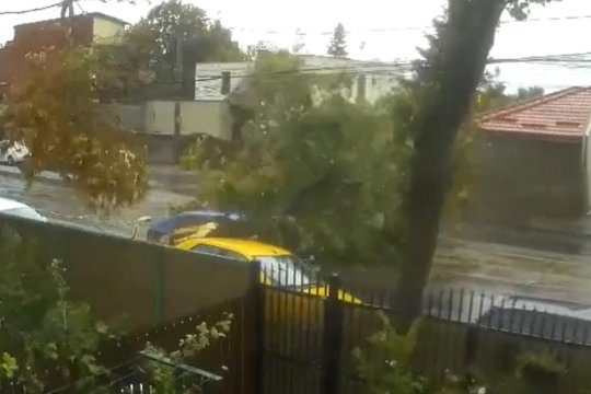 O persoană rănită după ce un copac a căzut peste mașina pe care o conducea. Autoritățile avertizează că urmează noi episoade de vreme severă