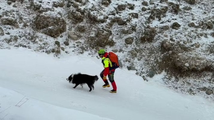 Echipe canine de căutare ajută misiunea găsirii tânărului
