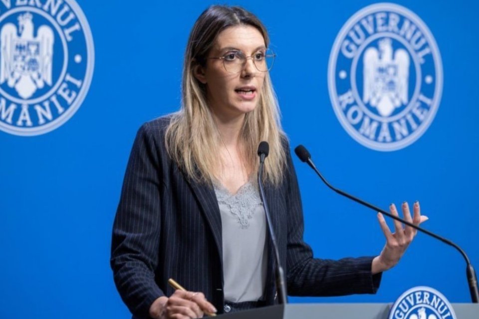 Diana Buzoianu, Ministrul Mediului