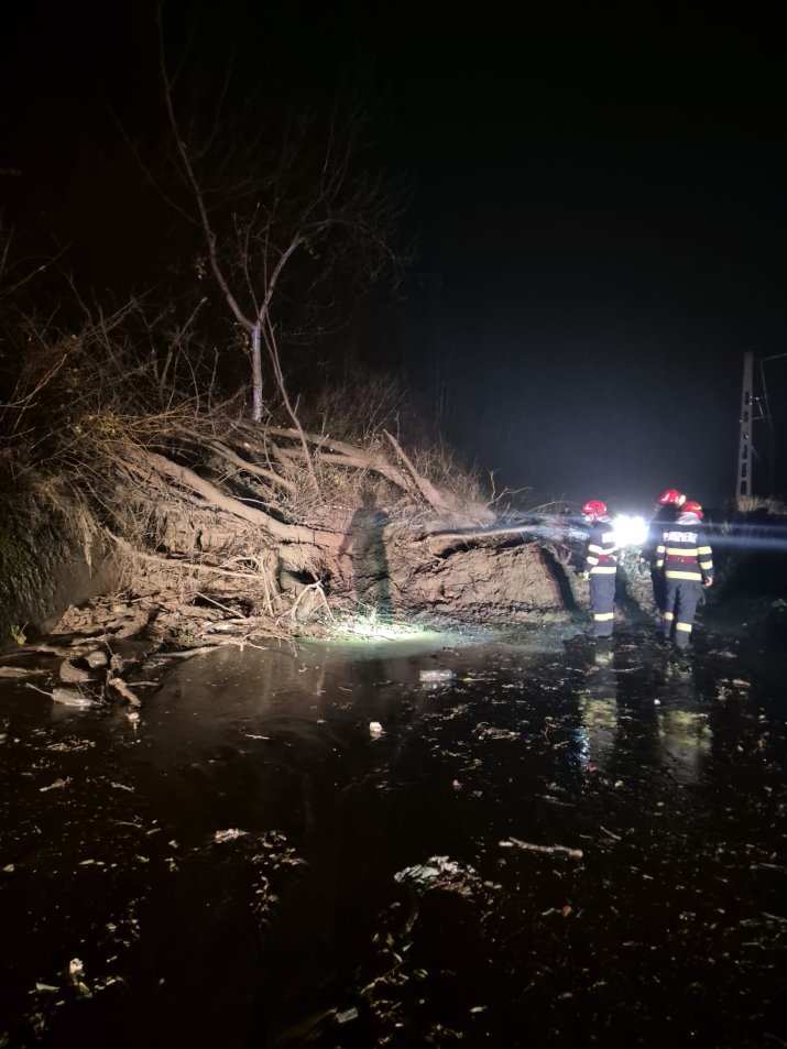 Copacul căzut pe  DJ102i, între Lunca Mare și Valea Doftanei