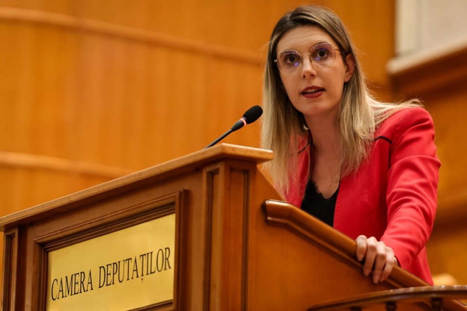 Diana Buzoianu, Ministrul Mediului