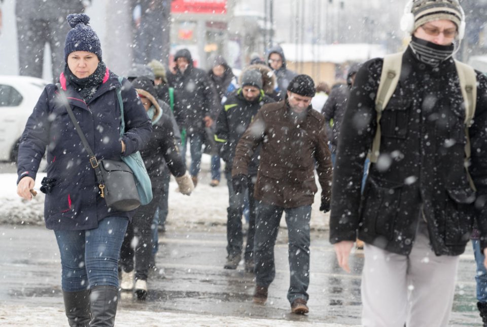 Ninsoare în București