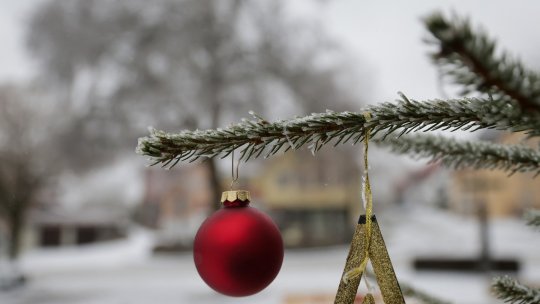 Crăciun sub avertizări meteo: ninsori, vânt puternic și polei. Trafic paralizat în Olt