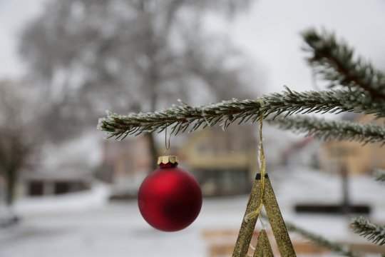 Crăciun sub avertizări meteo: ninsori, vânt puternic și polei. Trafic paralizat în Olt