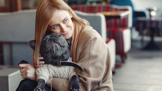 Ce poți face pentru animalul tău de companie în noaptea de Revelion. Cum îl protejezi de artificii la început de 2026