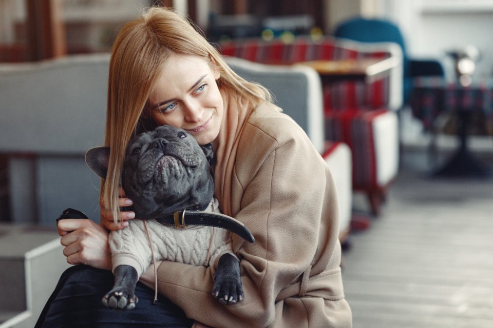 Ce poți face pentru animalul tău de companie în noaptea de Revelion