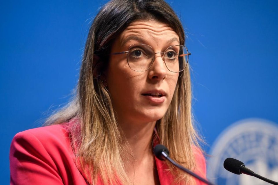 Diana Buzoianu, Ministrul Mediului